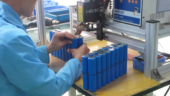 High Quality Li-ion /LiFePO4 Battery 12V 30ah Deep Cycle Lithium Iron Phosphate Battery with Battery Manament System